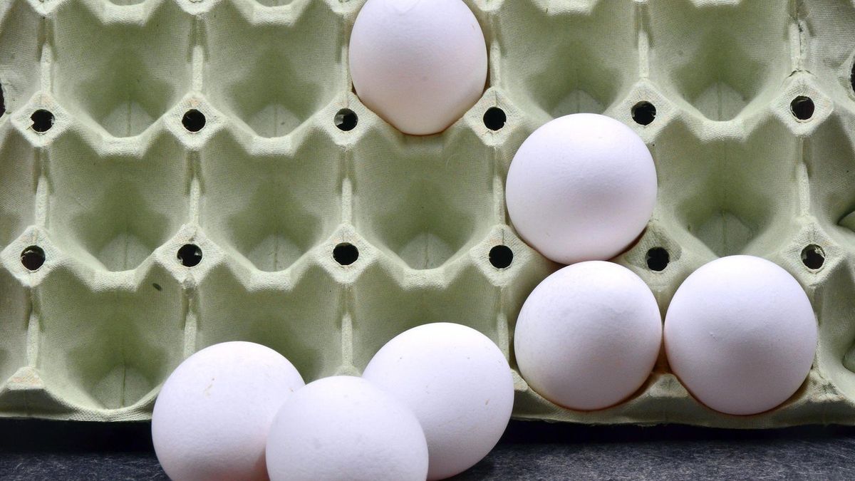 Před drůbežárnami jsou fronty, Češi začínají vykupovat vejce